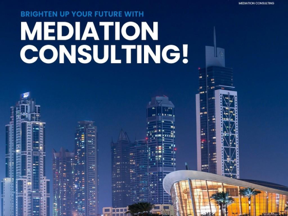Mediation Consulting