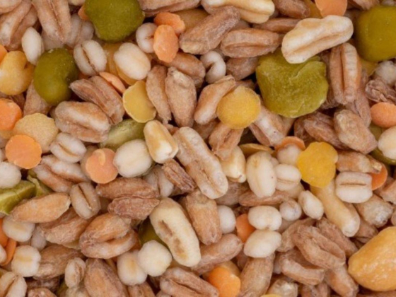 Morgen Land Foodstuff Trading