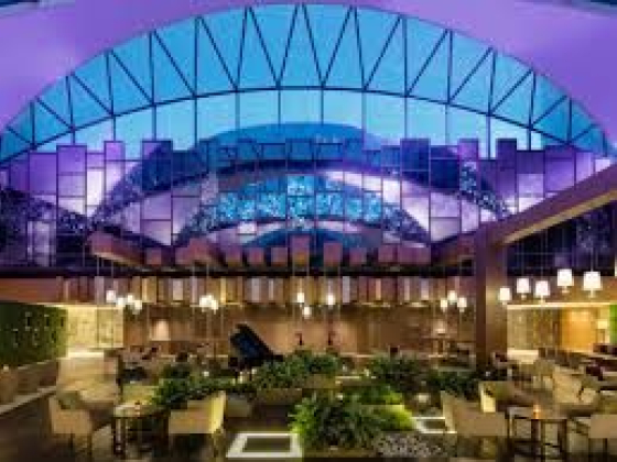 Hyatt Regency Dubai Creek Heights Hotel