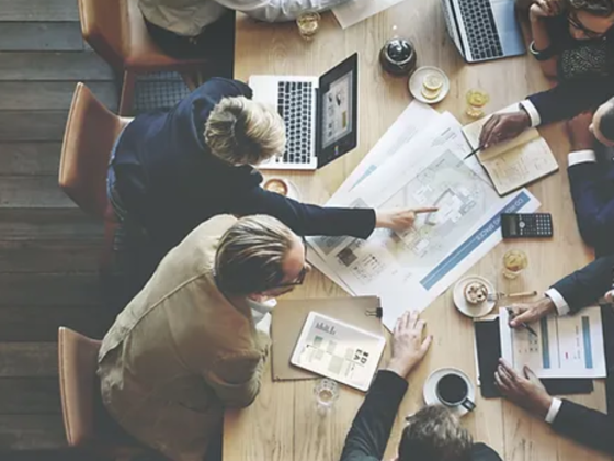Melius Project Consulting