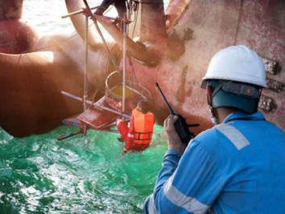 Wilhelmsen W P S Dubai Port Services