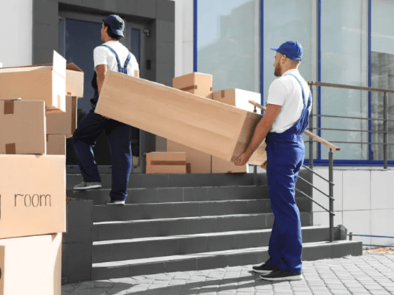 Delight Box Moving & Storage