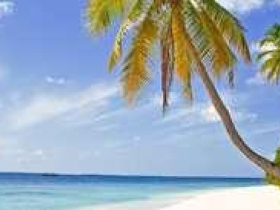 Skyros Travels