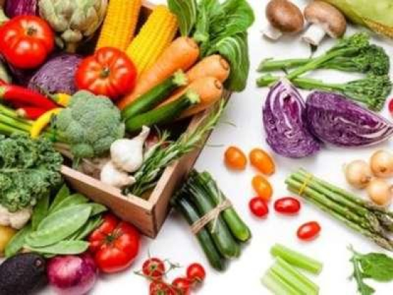 ​Always Fresh Vegetables & Fruit Trading