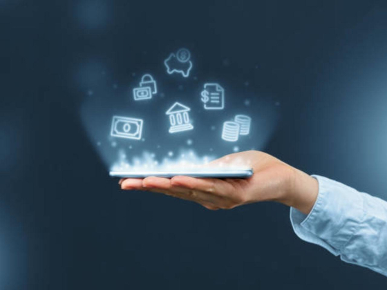 Millennium Payment Services Provider Rubik Investment