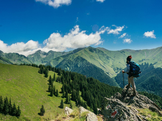 Syed Abdul Travel & Tourism
