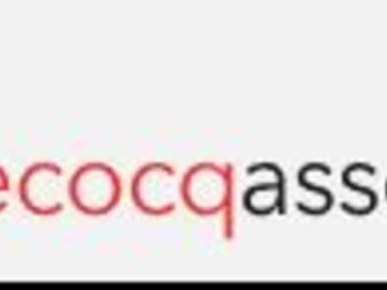Lecocq Associate