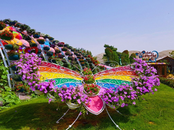 Dubai Butterfly Garden