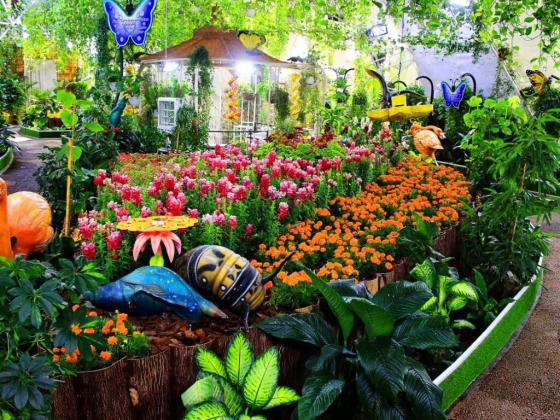 Dubai Butterfly Garden