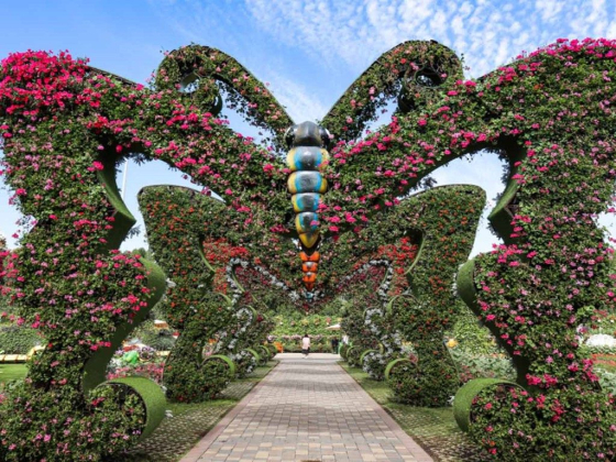 Dubai Butterfly Garden