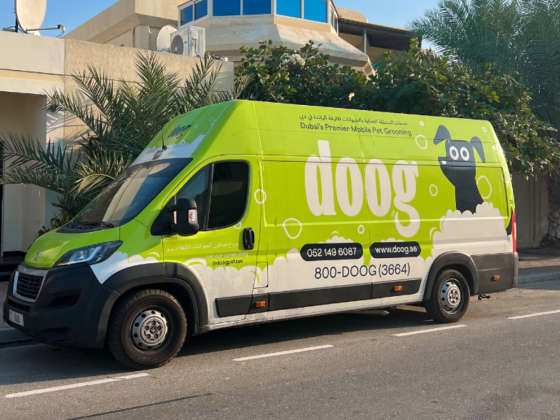 Doog Domestic Pets Grooming