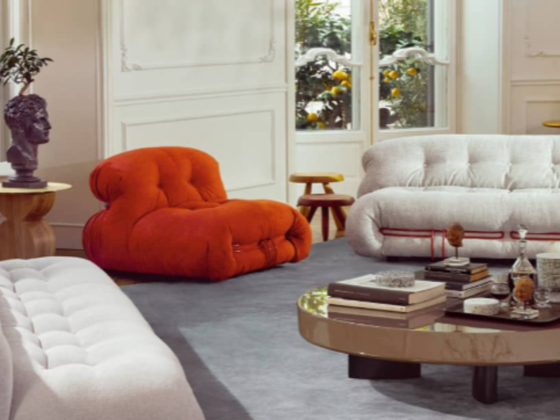 Vivium Holdings