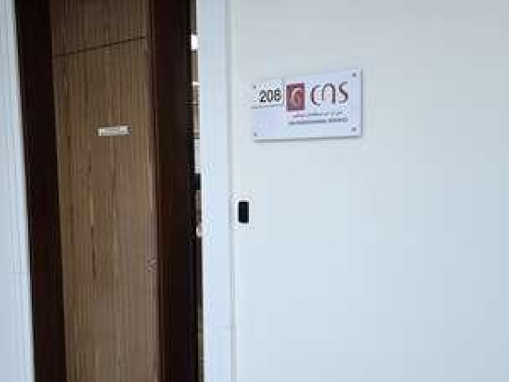 CNS Professional Services