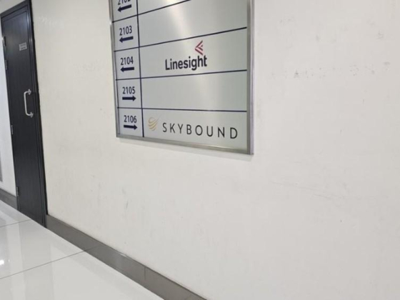 Skybound Wealth Management
