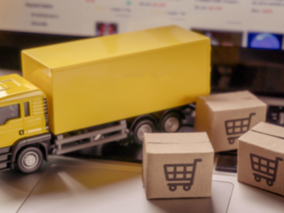 Imile Delivery Services