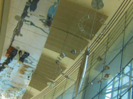 Reef Capital