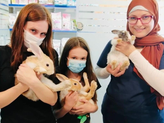 Star Veterinary Clinic
