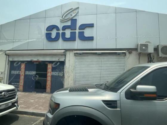 odc (Oriental Dragon Air Cargo Services)
