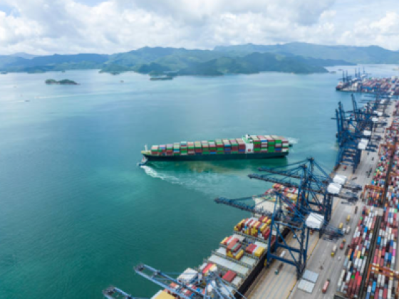 T N F Clearing & Forwarding