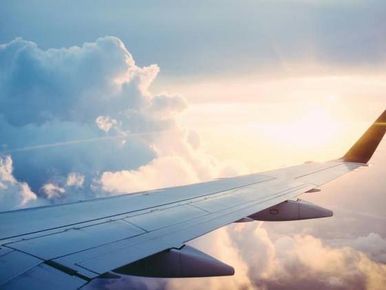 Star Go Fly Travels
