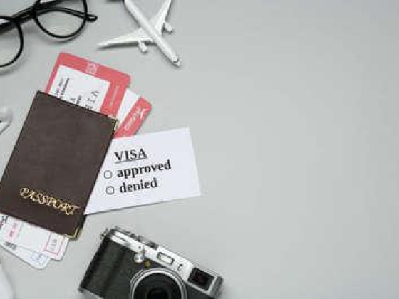 Galaxy Migration Consultancy