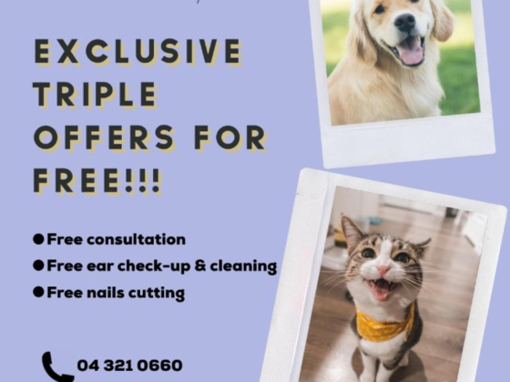 AlFalah Veterinary Clinic