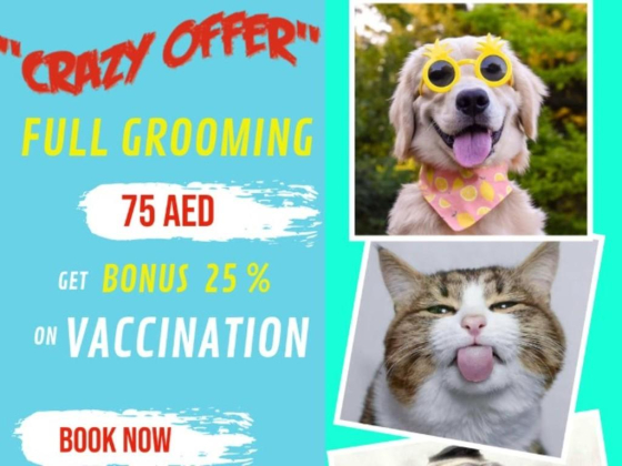 AlFalah Veterinary Clinic