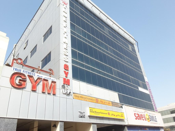 Amrou Elshenawy Technical Works