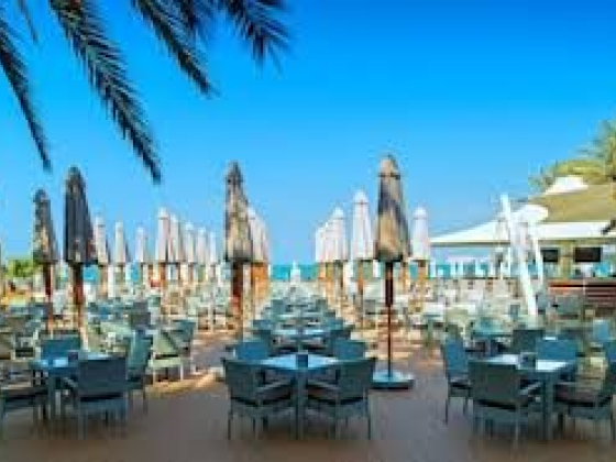 Hilton Dubai The Walk Hotel