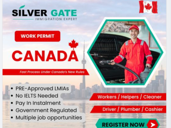 Silver Gate Immigration Expert