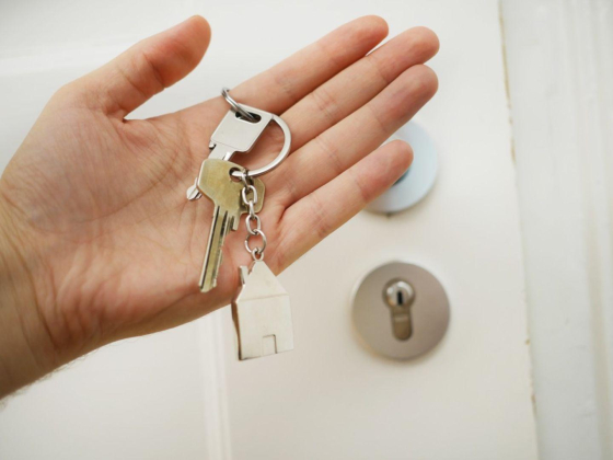Avenew ​real Estate Company