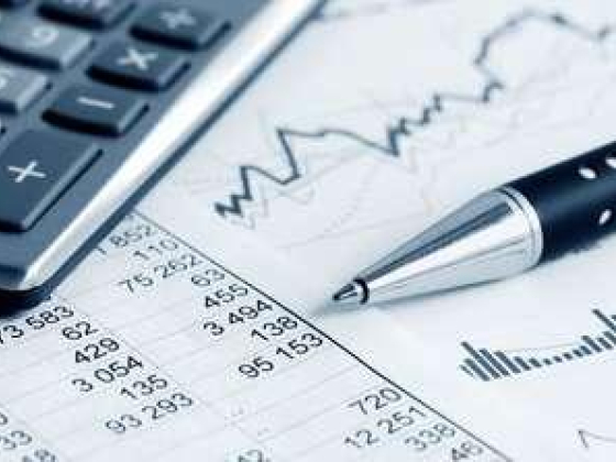 Fahmy Kamel And Partners Certified Accountants And Auditors