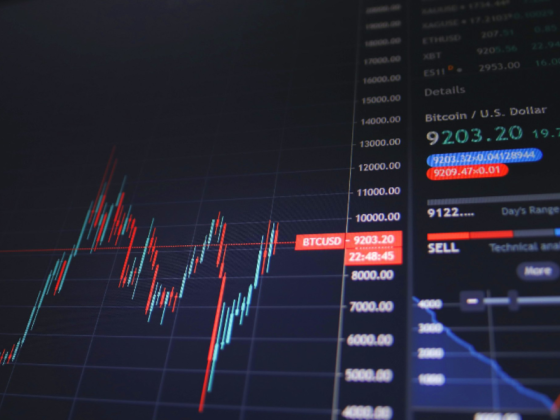 Falcon Global Capital