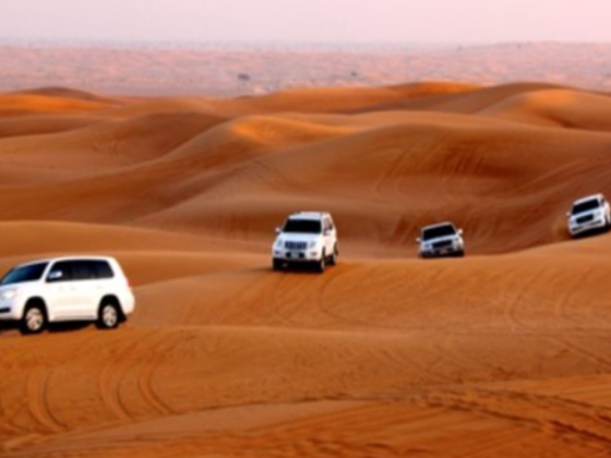 Vacations To Go Tourism