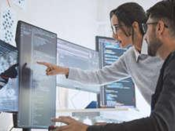 Flexbet Software Trading