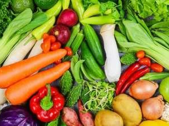 VEG Gro Foodstuff