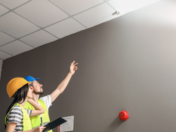 Star Buildings Rank For Building Inspection Services