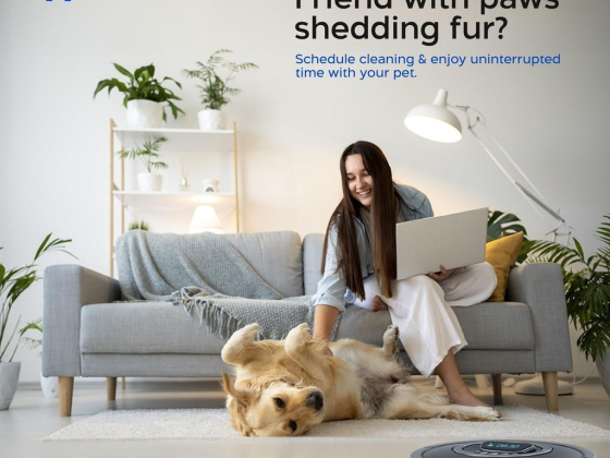 Syncrow IT Solutions - Smart Home