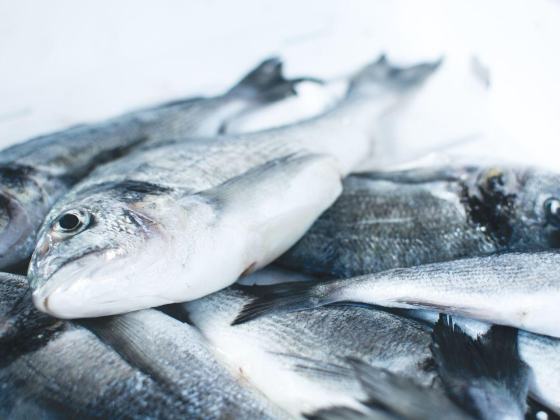 Obaid Khamis Mubarak Fish Stall