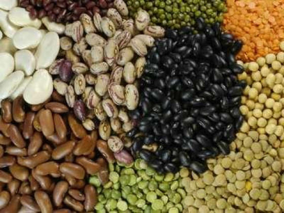 Kawsar Miah Hazi Foodstuff Trading