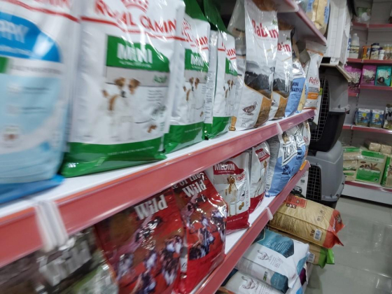 Delhi Birds Fodder Trading