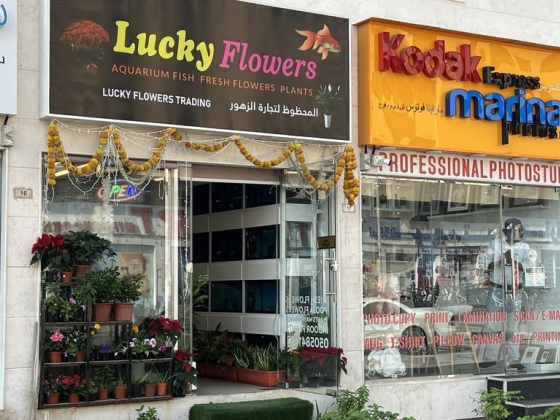 Lucky Flowers