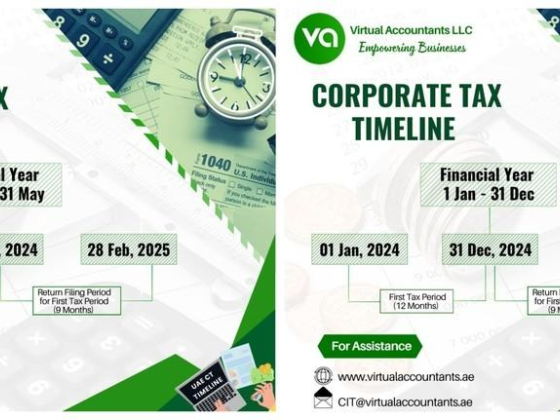 Virtual Accountants