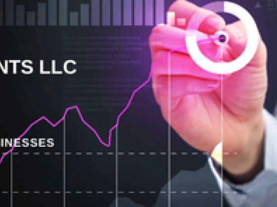 Virtual Accountants