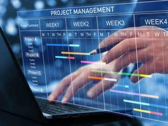 Abanoos For Project Management Services