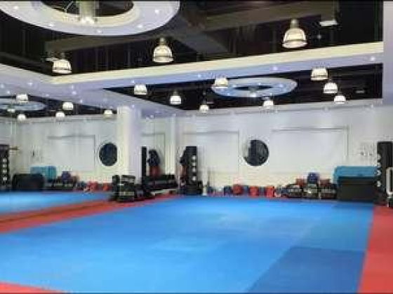 M B A Dynamic Martial Arts Training Club