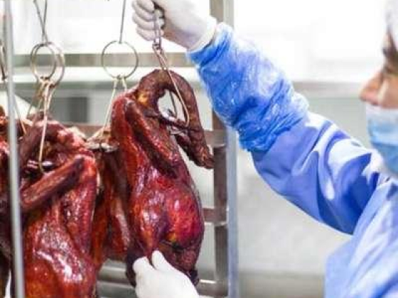 Culex Food Production