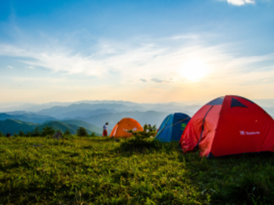 Mega Links travel and tourism
