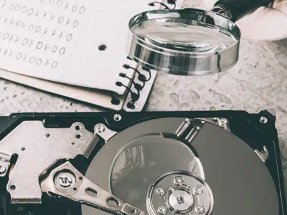 Digital Computer Services