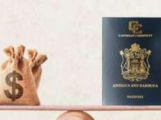 First Express Consultancy & Citizenship